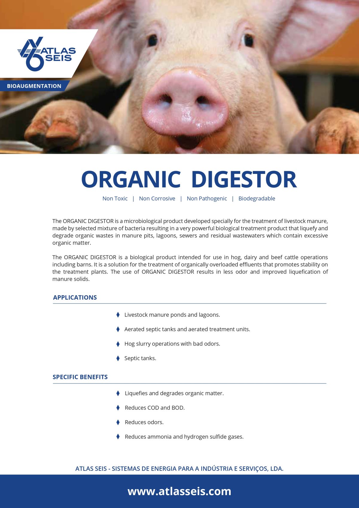 Organic Digestor - Image 2