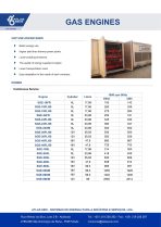 Guascor Biogas Engines - Image 3
