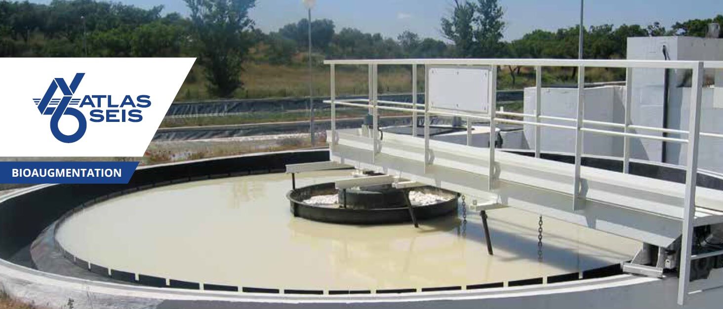 Biodigestor - Water Treatment