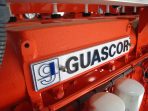 Guascor Biogas Engines - Image 8